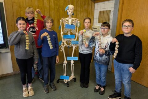 Natur und Technik in der Klasse 4/5 – Wir bauen eine Wirbelsäule!