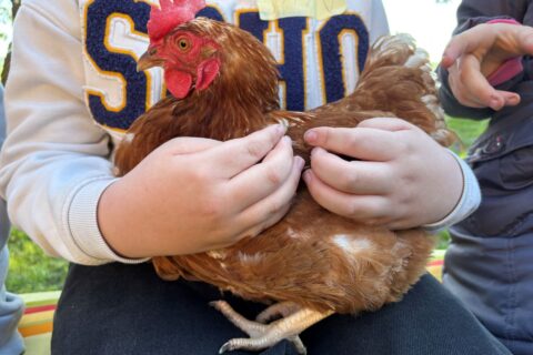 Ausflug der Klasse 3/4 auf den Erlebnisbauernhof in Gadheim