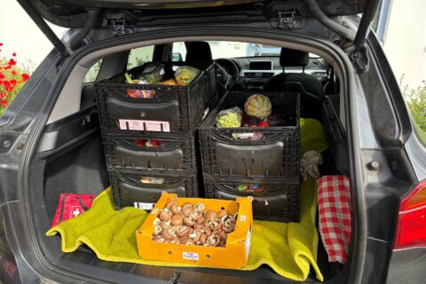 Ausflug der Klasse 3/4 zum Verein KOST-BAR e.V. in Veitshöchheim